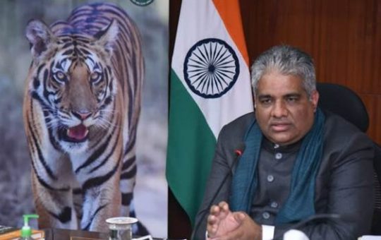 Tiger continues to be an endangered specie: Bhupender Yadav