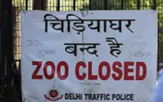 Delhi Zoo shut amid Covid scare