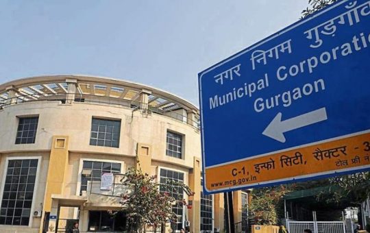 Ad-hoc panel set up to oversee delimitation of MCG Wards