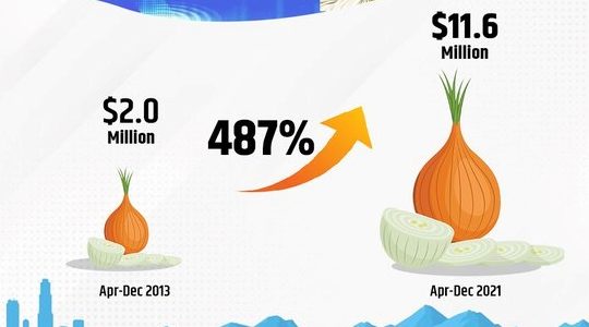India’s exports of small onions, pineapple see a major rise