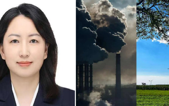 China embassy spokesperson teaches Delhi a lesson on air-pollution